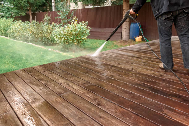 Animal Enclosure Cleaning in Stuarts Draft, VA